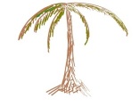 Palm oasis